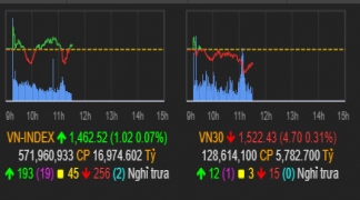 Cổ phiếu tăng giảm của thị trường hôm nay